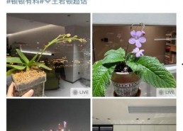 午夜国产自,揭秘国产影视作品的魅力与挑战