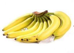 久久香蕉国产,生态农业的典范之路