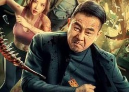 在线国产电影,国产电影中的时代印记与情感共鸣