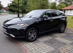 国产12AV,引领汽车工业新篇章