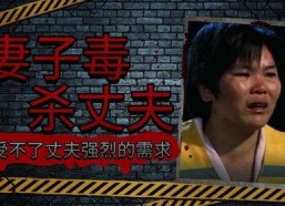 爱人bt国产,爱情与背叛的交织之地