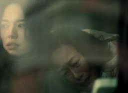 性视频国产,性视频领域的创新与突破