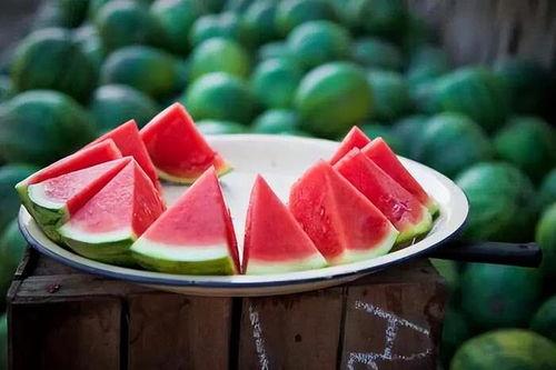 5.1吃瓜网官网,揭秘娱乐圈最新热点，带你畅游八卦海洋